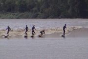 Five Surfers In Their Own Worlds On A River!