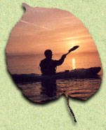 Kayak Sunset Photo